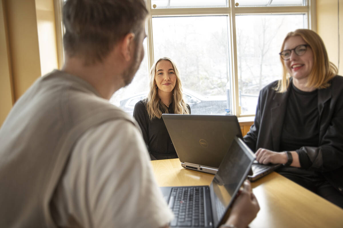 Ett trevligt samarbete i grupp på jobbet.