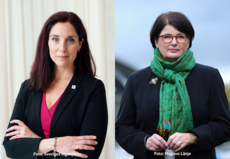 debattartikel.png