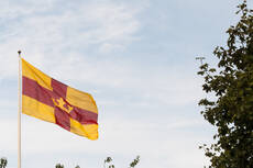 27464500-svenska-kyrkans-flagga.jpg
