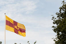 27464500-svenska-kyrkans-flagga_0_0.jpeg