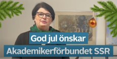 Skärmavbild 2023-12-12 kl. 19.49.50.png