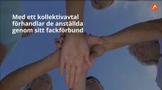 IMG_2586.jpeg