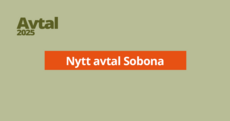Web.png